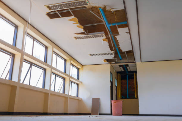 Best Sewage cleanup and water damage restoration  in Stanley, WI