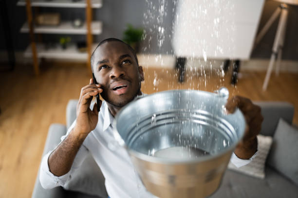 Best Carpet water damage restoration  in Stanley, WI