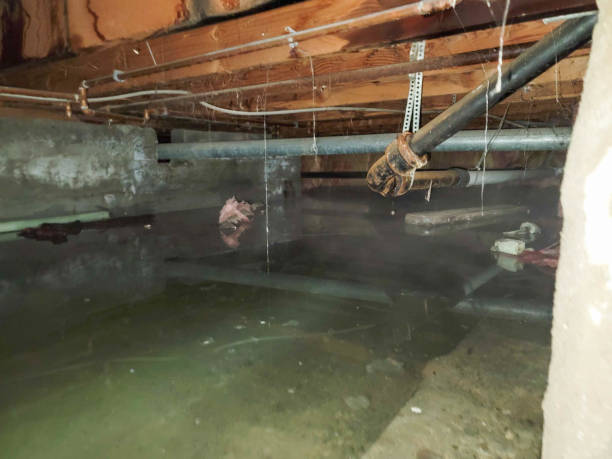 Best Water damage cleanup near me  in Stanley, WI
