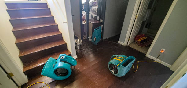 Best Residential water damage restoration  in Stanley, WI