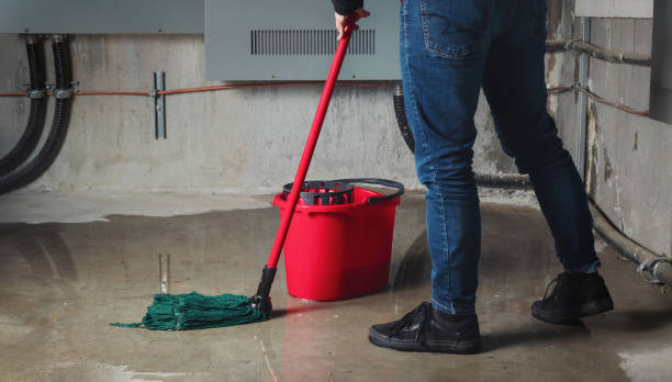 Best Water damage restoration near me  in Stanley, WI