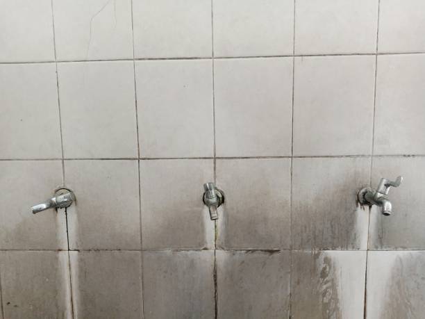 Best Flooded house restoration  in Stanley, WI