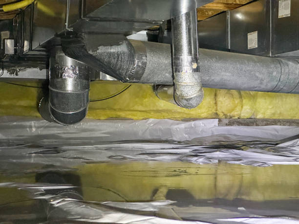 Best Mold removal after water damage  in Stanley, WI