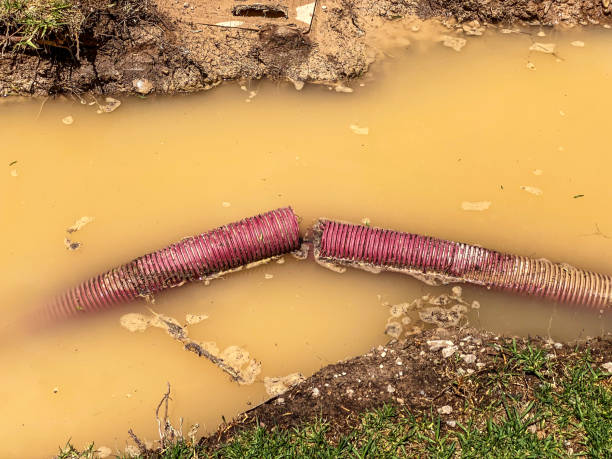 Best Mold removal after water damage  in Stanley, WI
