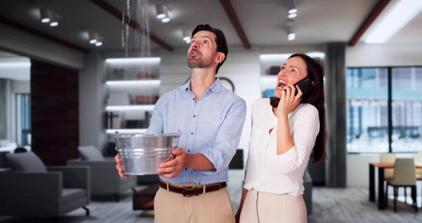 Best Basement water damage restoration  in Stanley, WI
