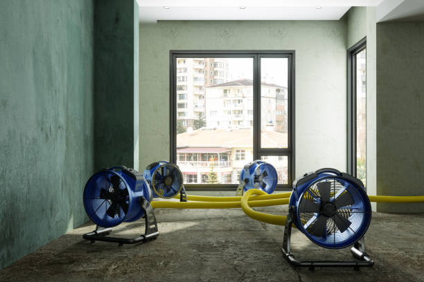 Best Flood restoration services  in Stanley, WI